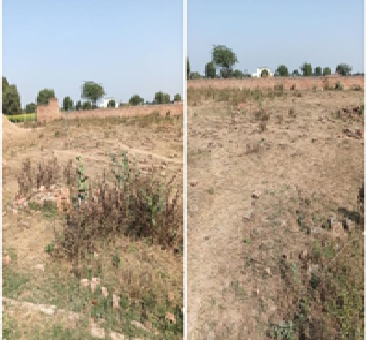 DUSHYANT POULTRY FARM 28261